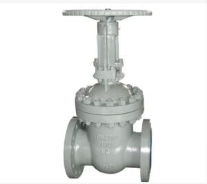 Cryogenic Gate Valve for low temperature pipeline service
