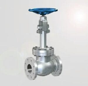 Cryogenic globe valves