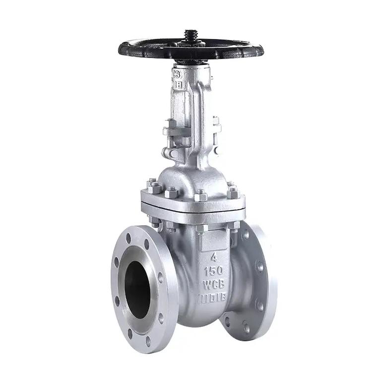 Cast Steel Gate Valve