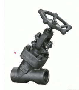 Y-Type Globe Valve