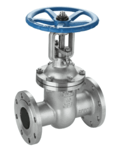 Stainless Steel Gate Valve