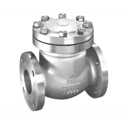 Swing Check Valve