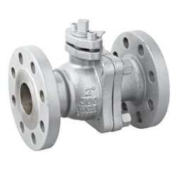 Cast Steel Floating Ball Valve 2